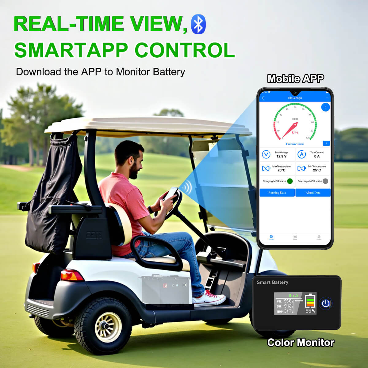 Lithium Golf Cart Battery APP Monitor